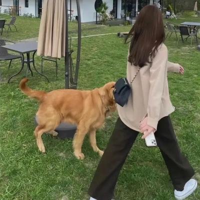 恐惧之灵